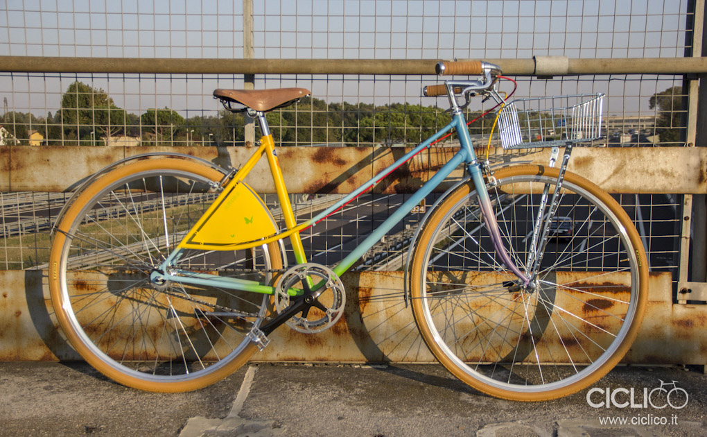 Alessio-B, bici da città, hirondelle, ciclico, urban bikes, Wald, Curana, Brooks B17 Aged, Campagnolo C-Record
