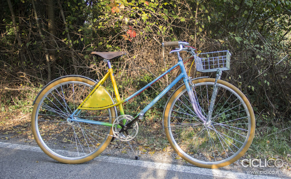 Alessio-B, bici da città, hirondelle, ciclico, urban bikes, Wald, Curana, Brooks B17 Aged, Campagnolo C-Record